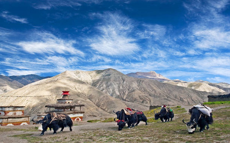 Upper Dolpo